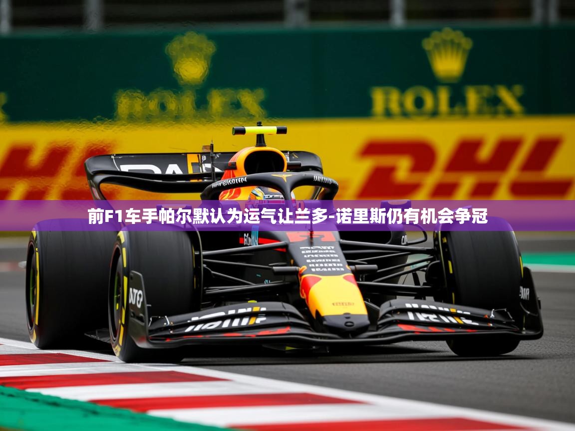 2025九游娱乐网站赞助的不莱梅前F1车手帕尔默认为运气让兰多-诺里斯仍有机会争冠  第1张