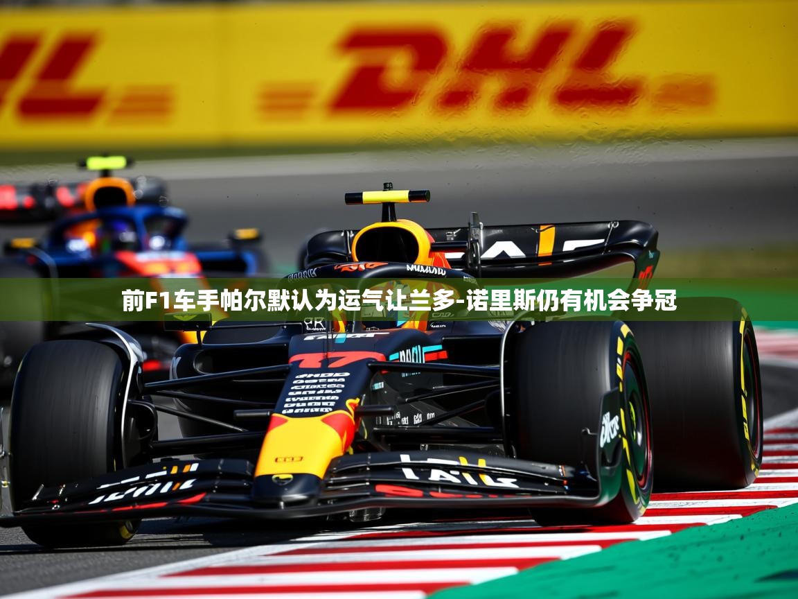 2025九游娱乐网站赞助的不莱梅前F1车手帕尔默认为运气让兰多-诺里斯仍有机会争冠  第2张