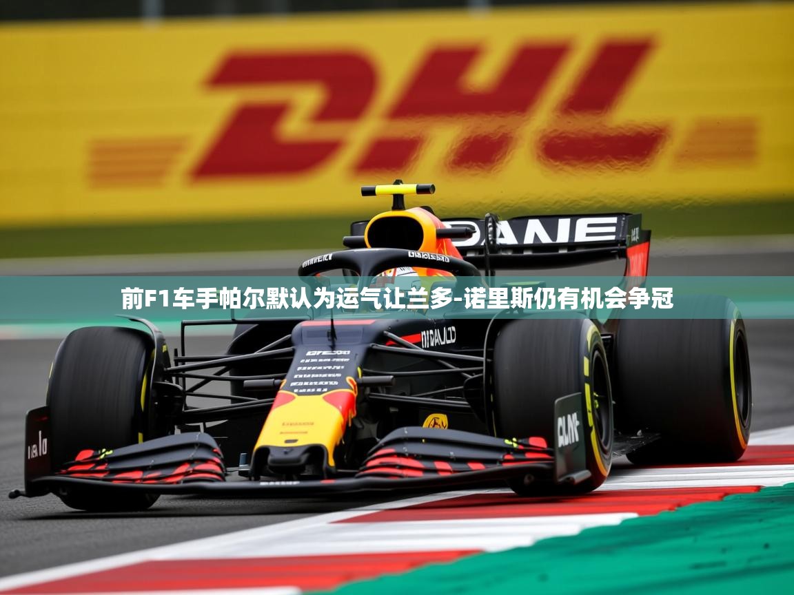2025九游娱乐网站赞助的不莱梅前F1车手帕尔默认为运气让兰多-诺里斯仍有机会争冠  第3张