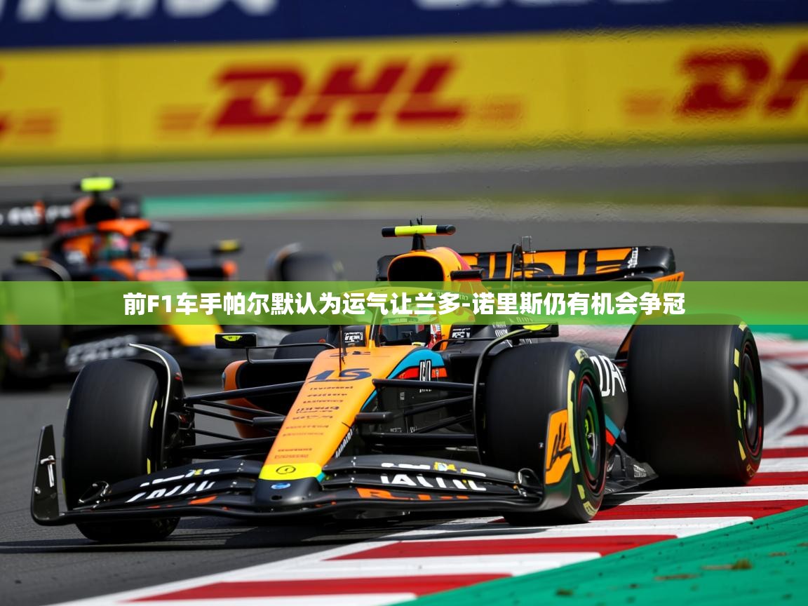 2025九游娱乐网站赞助的不莱梅前F1车手帕尔默认为运气让兰多-诺里斯仍有机会争冠  第4张