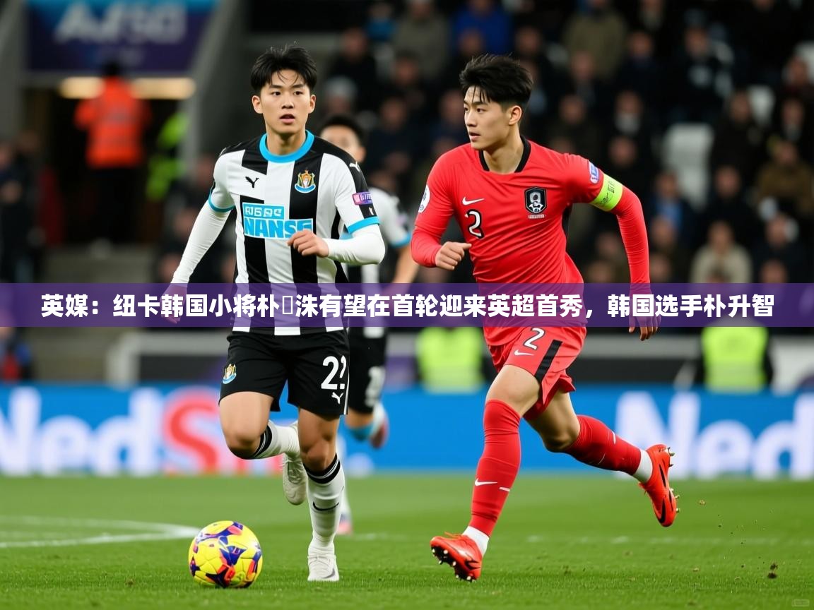 2025九游娱乐(中国)官方网站英媒:纽卡韩国小将朴昇洙有望在首轮迎来英超首秀,韩国选手朴升智 第1张