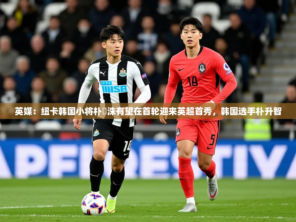 2025九游娱乐(中国)官方网站英媒:纽卡韩国小将朴昇洙有望在首轮迎来英超首秀,韩国选手朴升智 第2张