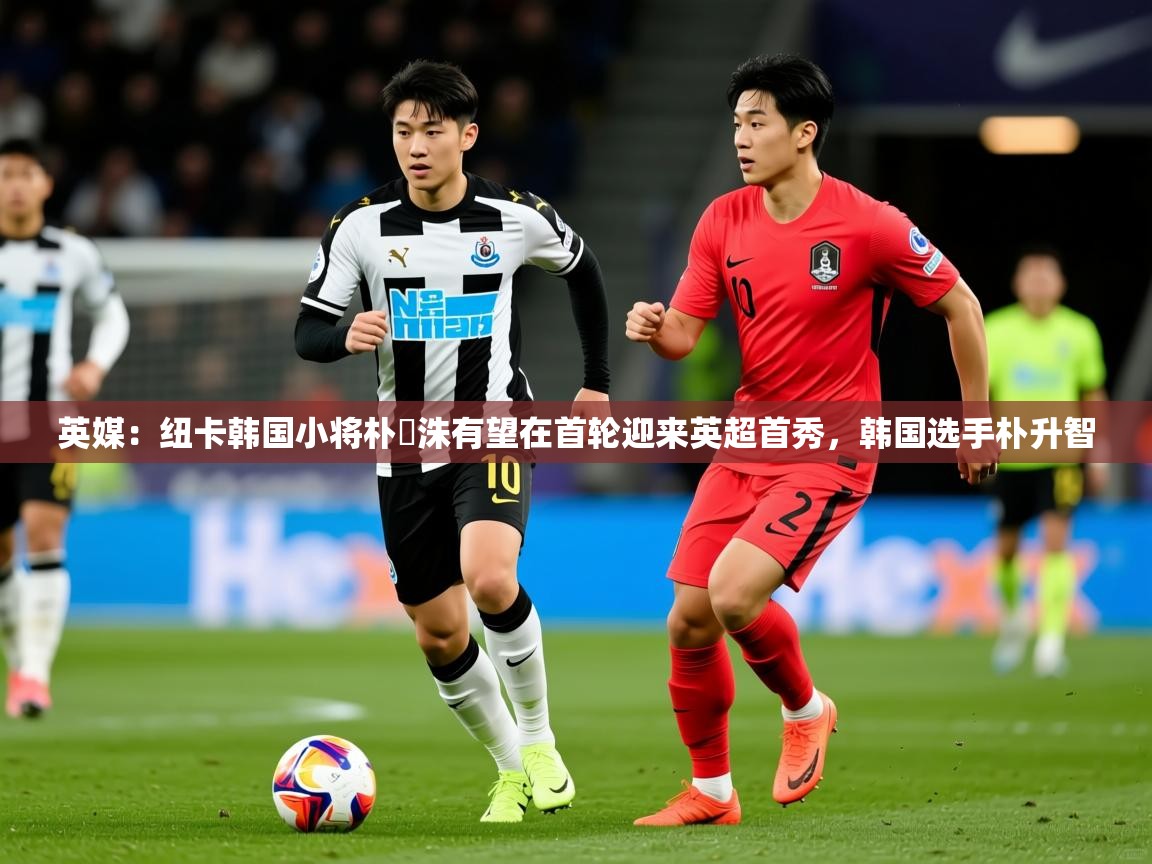 2025九游娱乐(中国)官方网站英媒:纽卡韩国小将朴昇洙有望在首轮迎来英超首秀,韩国选手朴升智 第3张