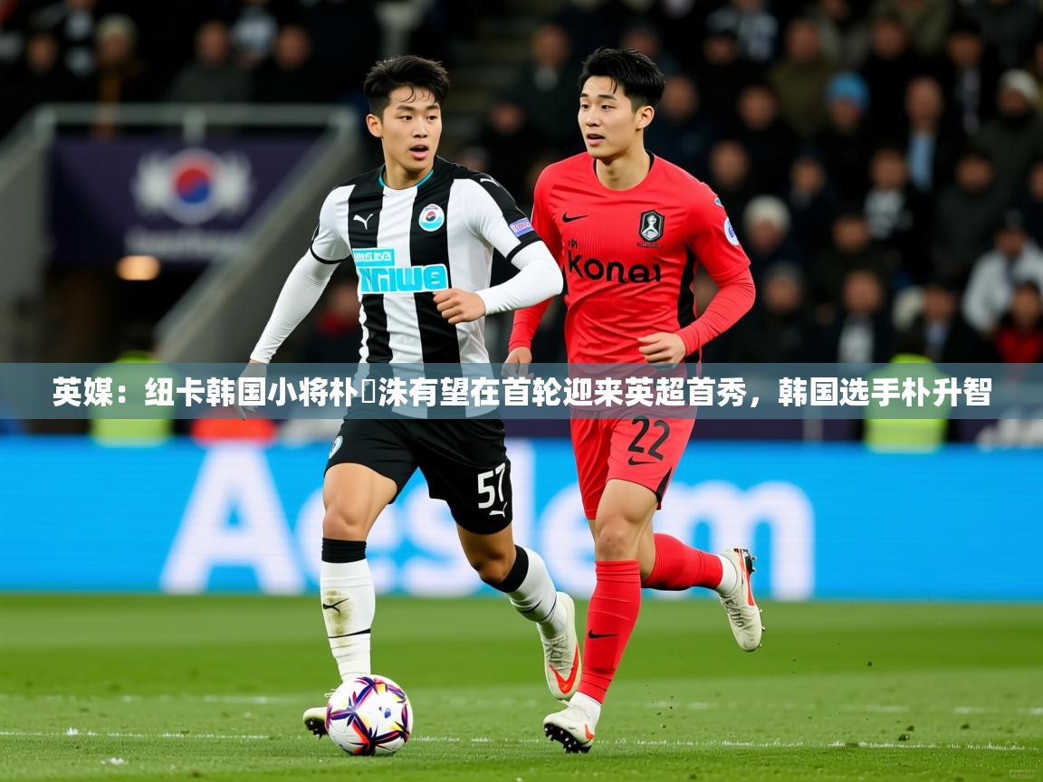 2025九游娱乐(中国)官方网站英媒:纽卡韩国小将朴昇洙有望在首轮迎来英超首秀,韩国选手朴升智 第4张