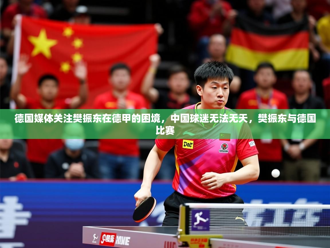 2025九游娱乐平台德国媒体关注樊振东在德甲的困境,中国球迷无法无天,樊振东与德国比赛 第1张