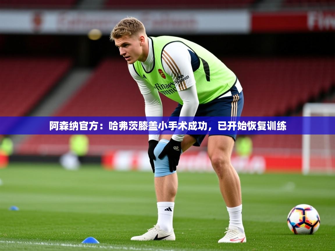 2025九游娱乐官方网站阿森纳官方:哈弗茨膝盖小手术成功,已开始恢复训练 第1张