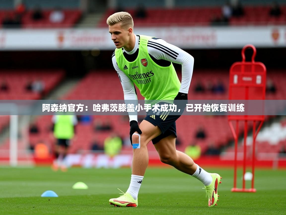 2025九游娱乐官方网站阿森纳官方:哈弗茨膝盖小手术成功,已开始恢复训练 第2张