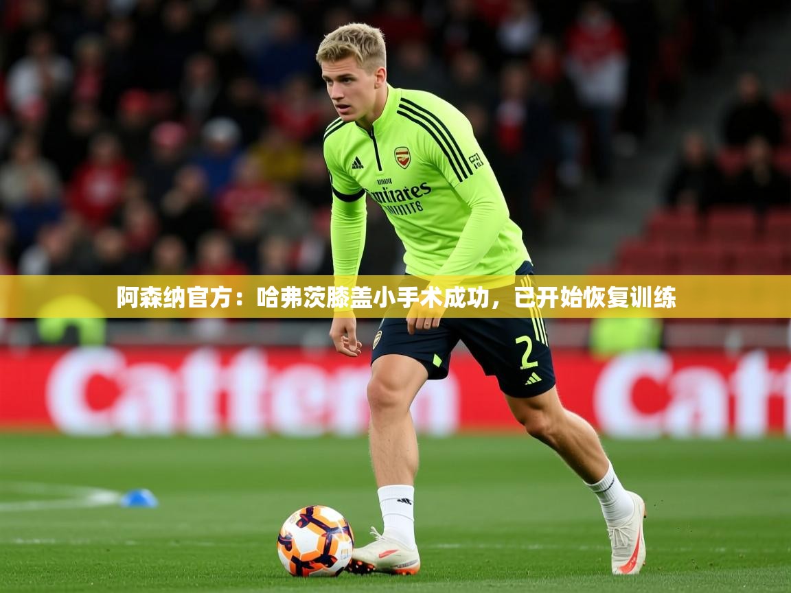 2025九游娱乐官方网站阿森纳官方:哈弗茨膝盖小手术成功,已开始恢复训练 第3张