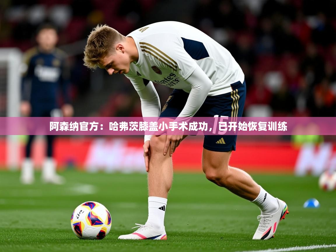 2025九游娱乐官方网站阿森纳官方:哈弗茨膝盖小手术成功,已开始恢复训练 第4张